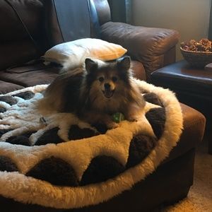 Meet your Posher, Patricia